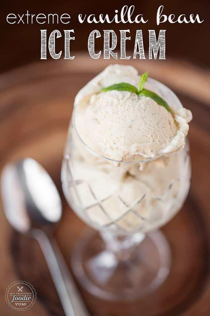 Extreme Vanilla Bean Ice Cream in a glass with a spoon.