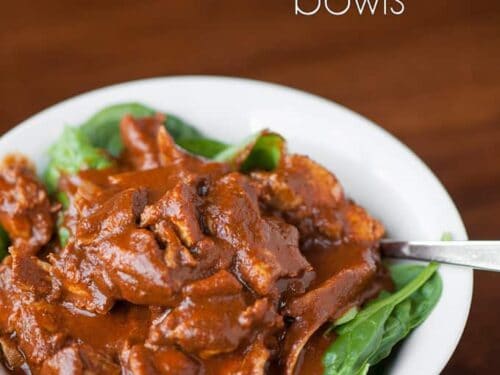 Mole chicken instant online pot