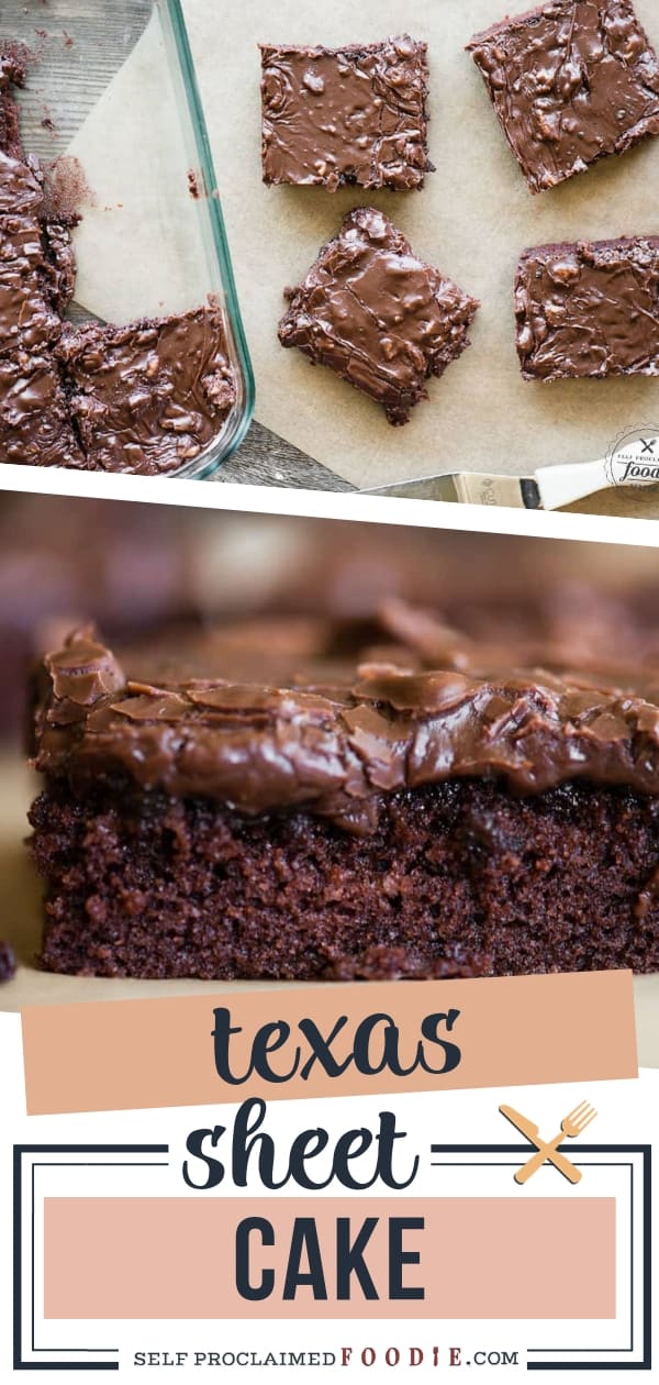 Chocolate Texas Sheet Cake {Recipe VIDEO} Self Proclaimed Foodie