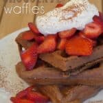 Barely Chocolate Waffles | Self Proclaimed Foodie