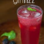 Blackberry Gin Fizz | Self Proclaimed Foodie