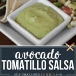 avocado tomatillo salsa recipe.