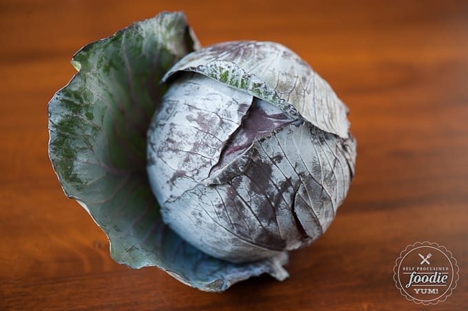 head of purple cabbage