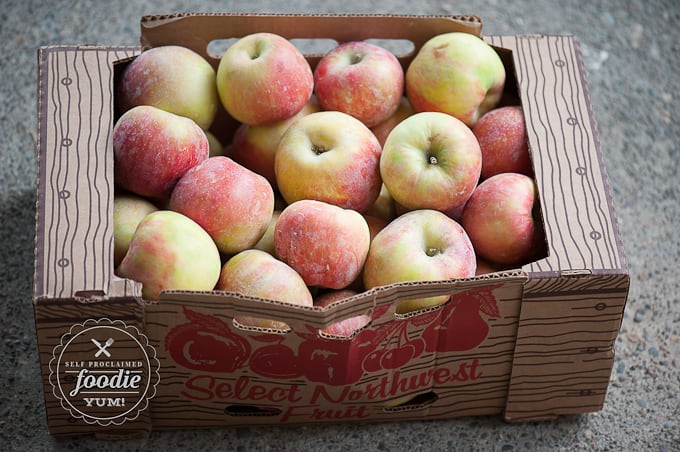 box of organic honeycrisp apples used to make applesauce