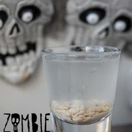 Zombie Shooter | Self Proclaimed Foodie