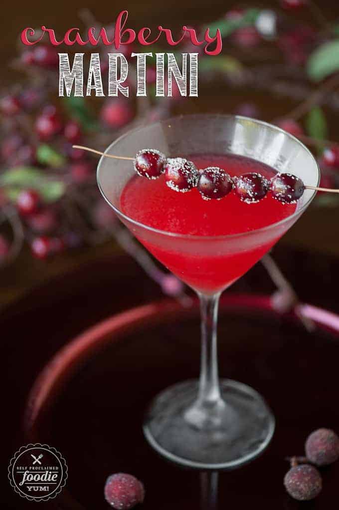 The BEST Cranberry Martini - Self Proclaimed Foodie