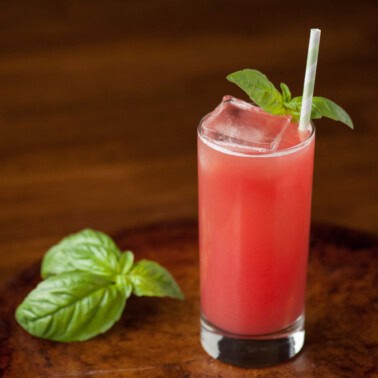 watermelon gin fizz cocktail recipe.