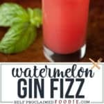 watermelon gin fizz cocktail recipe.