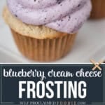 blueberry cream cheese frosting.