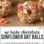 no bake oat balls with sunflower seeds and chocolate.