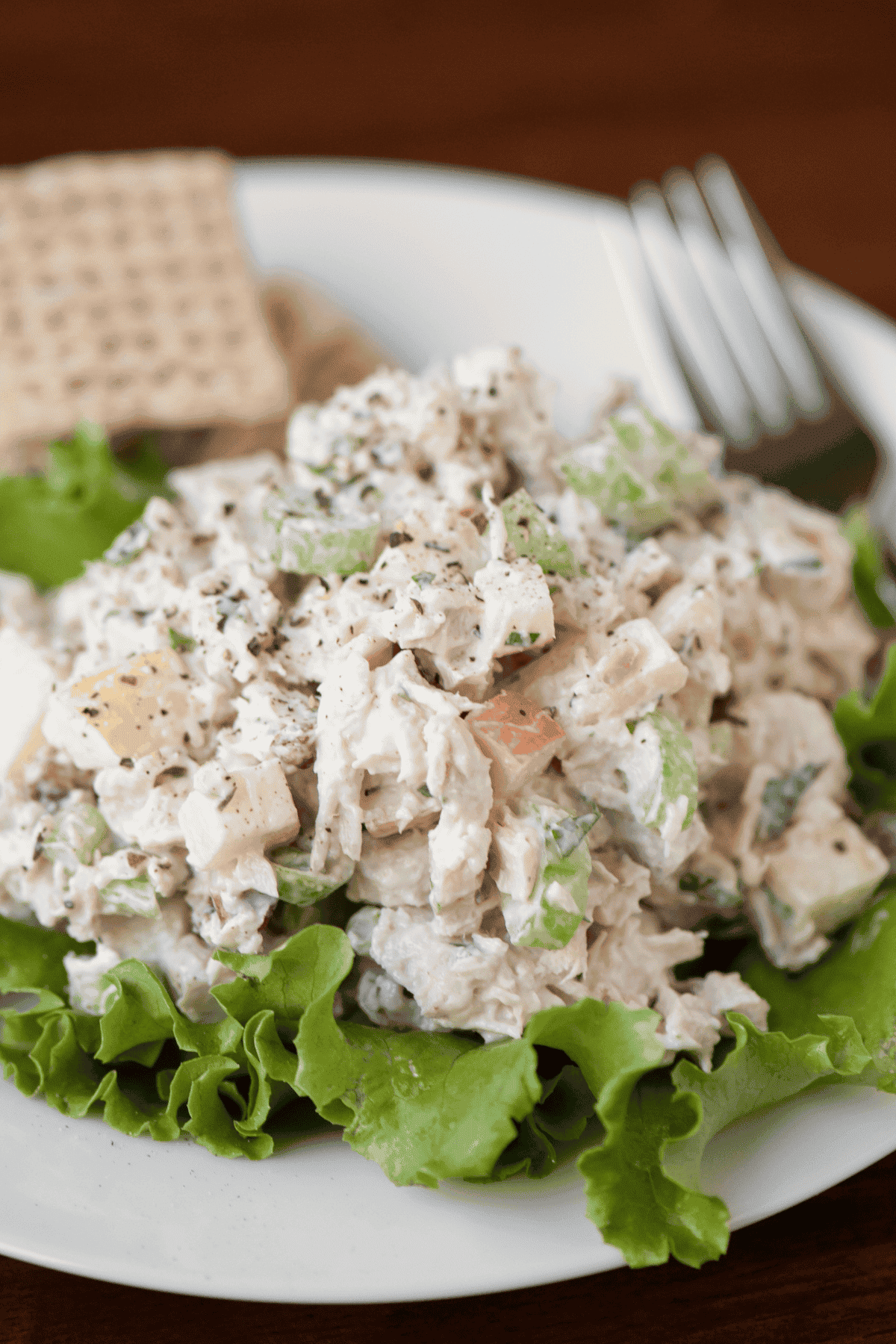 leftover turkey salad.