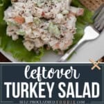 leftover turkey salad.