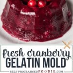 fresh cranberry gelatin mold.