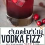 Cranberry Vodka Fizz Cocktail recipe.