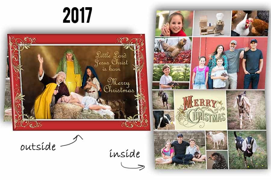 funny holiday card ideas for families