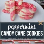 peppermint candy cane sugar cookies for Christmas.