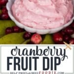 cranberry fruit dip