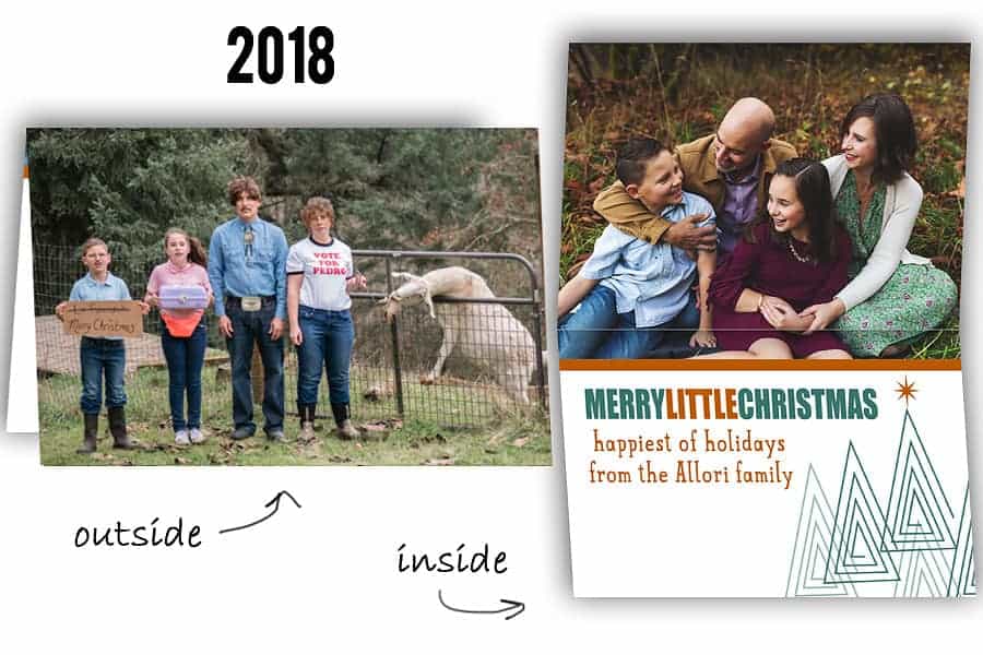 funny holiday card ideas