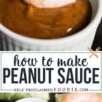 homemade peanut sauce.