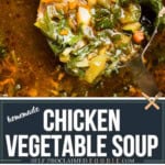 recipe for homemade chicken vegetable soup.