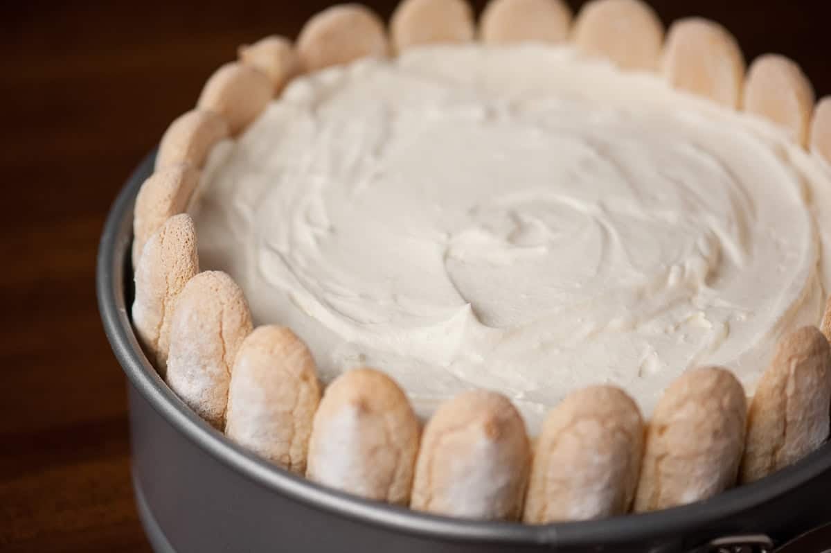 no bake lemon cheesecake with ladyfingers.