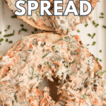 recipe for homemade smoked salmon dip.