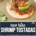 two bite shrimp tostada appetizers.