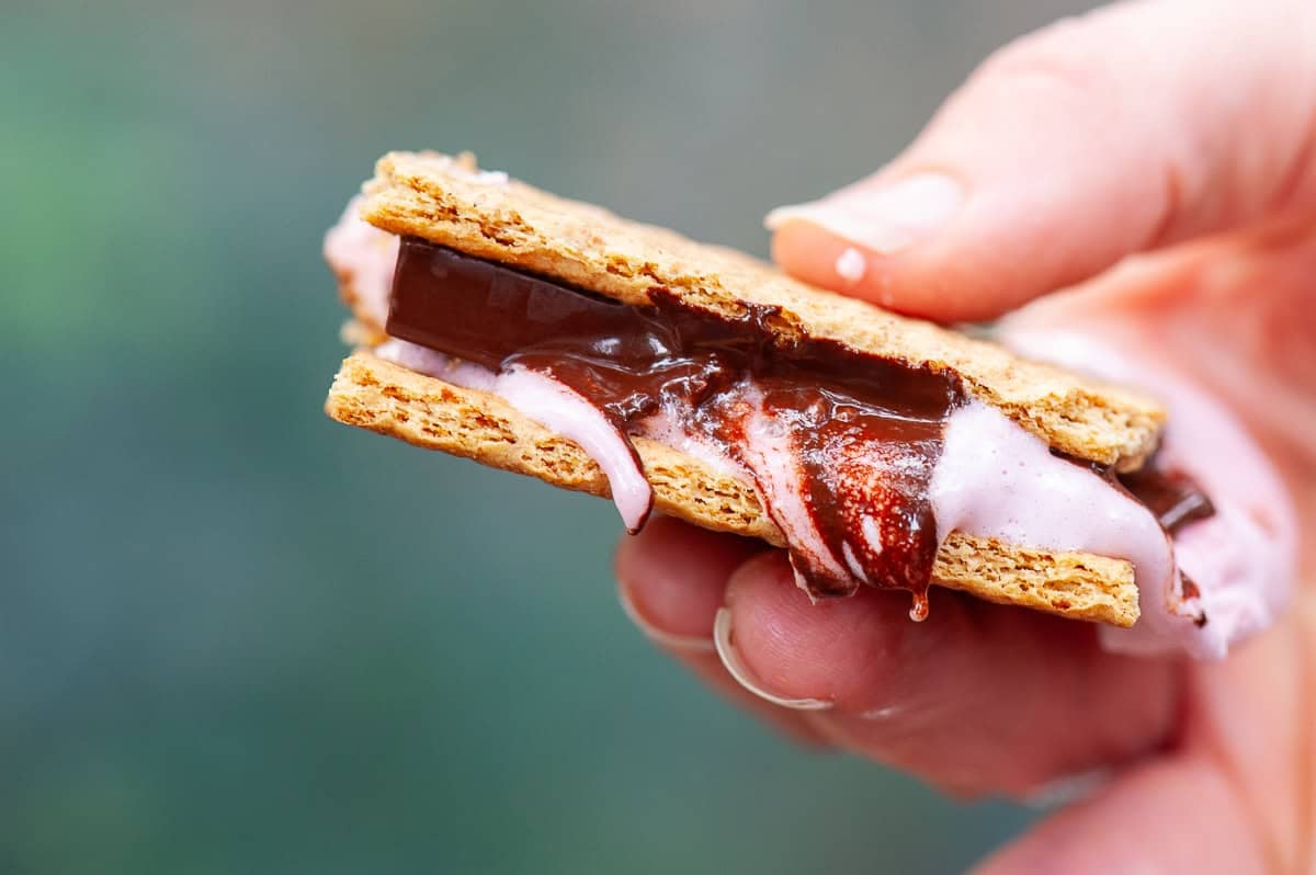 making s'mores with homemade strawberry marshmallow recipe.