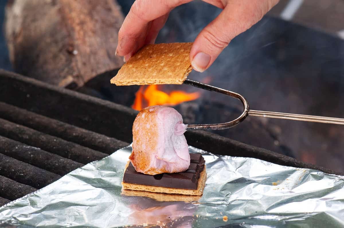 making s'mores with homemade strawberry marshmallow recipe.
