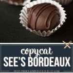 copycat sees bordeaux.
