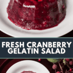 fresh cranberry gelatin mold.