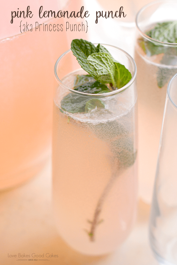 10 Kid Friendly Drink Recipes - Pink Lemonade Punch.