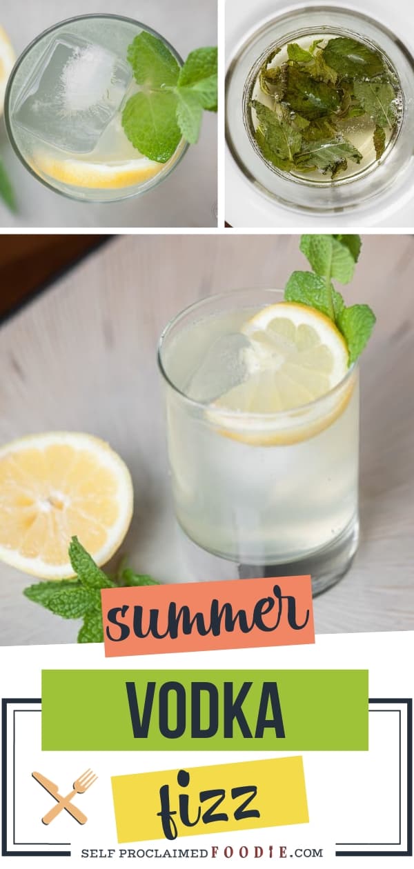Summer Vodka Fizz Self Proclaimed Foodie