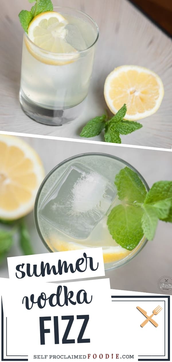 Summer Vodka Fizz Self Proclaimed Foodie