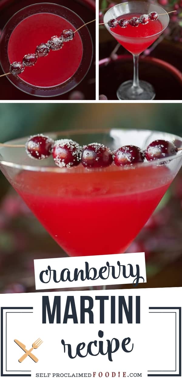 The BEST Cranberry Martini - Self Proclaimed Foodie