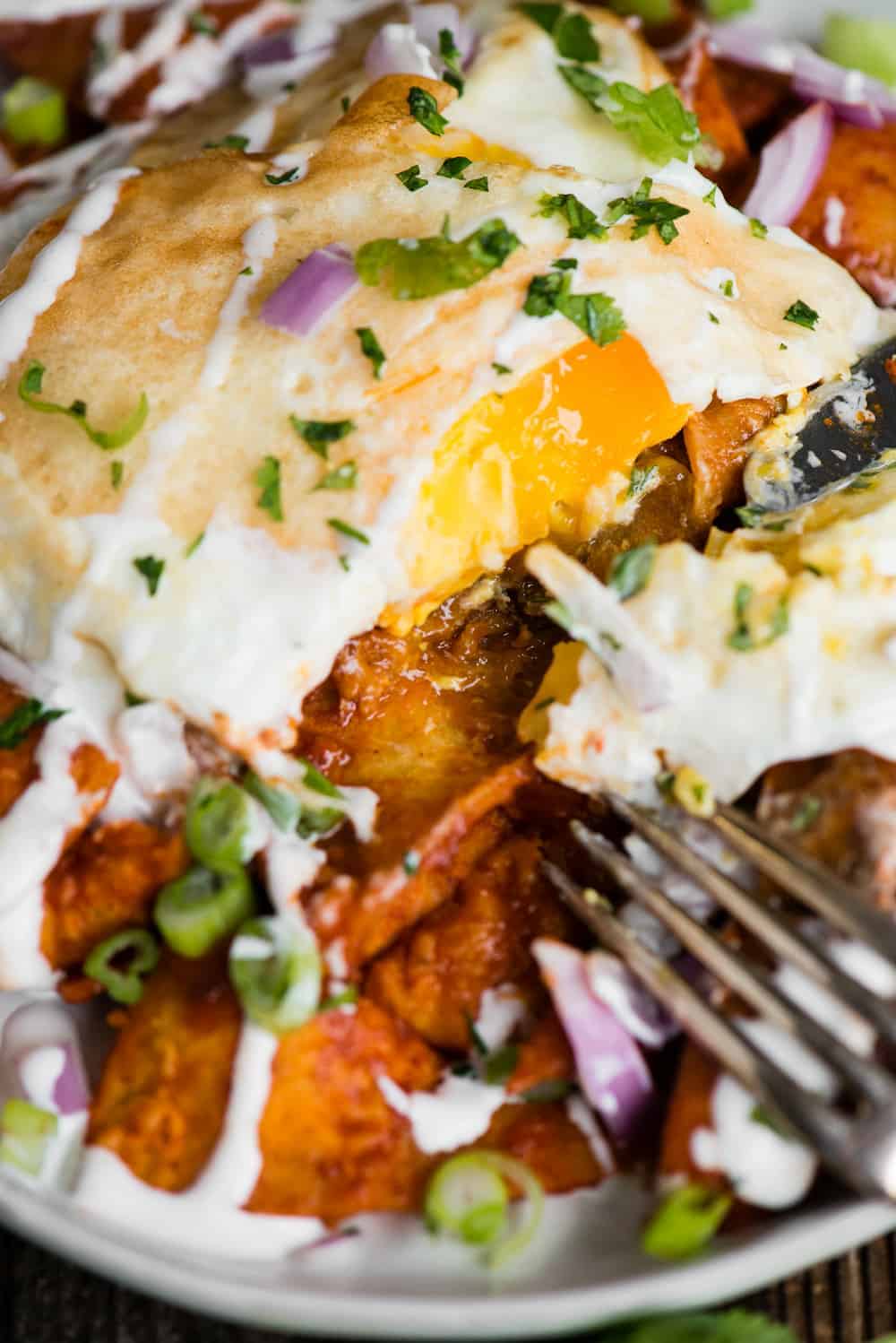 Chilaquiles rojos with fried eggs for breakfast