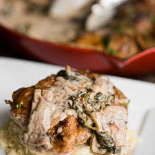 Chicken Florentine over mashed potatoes