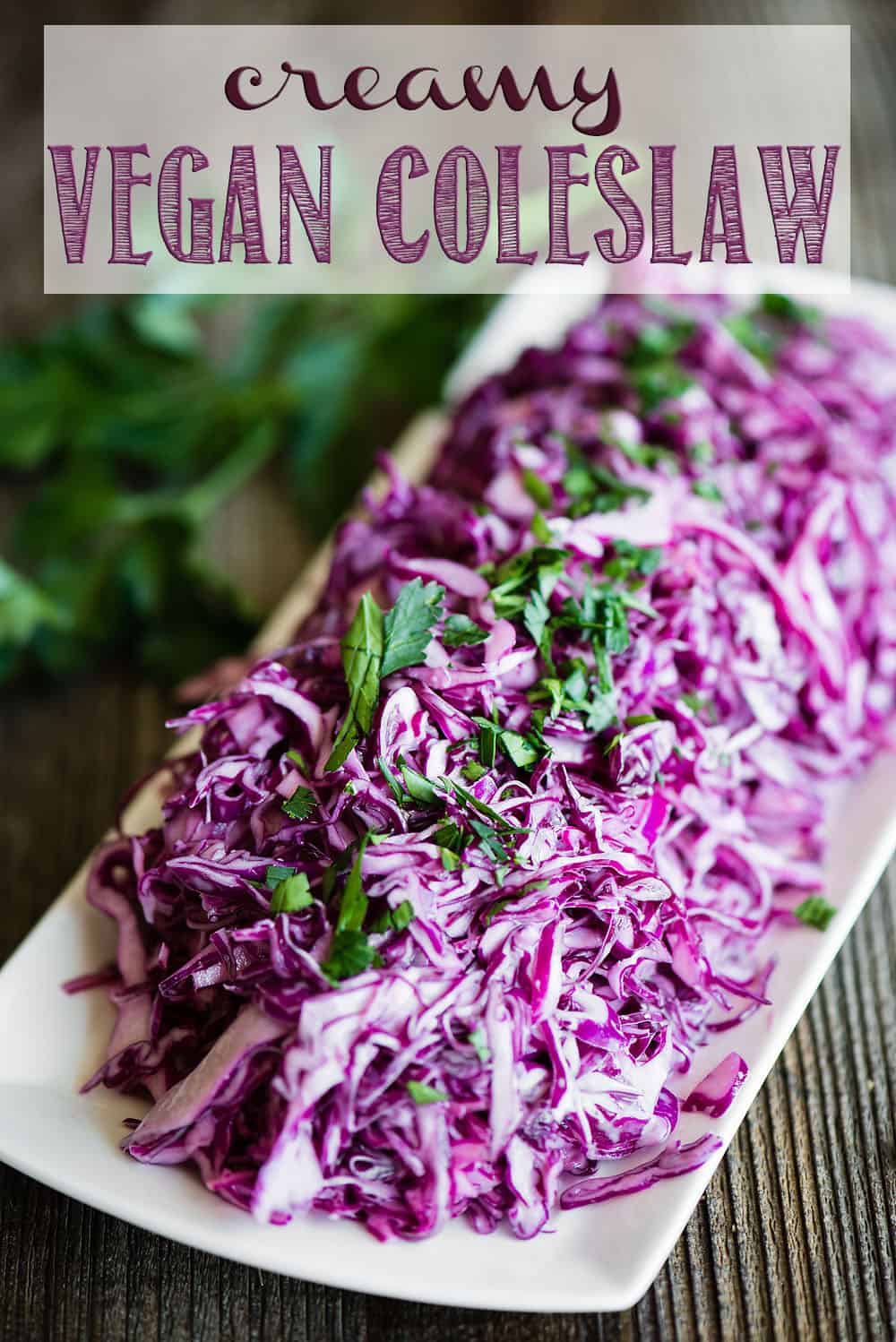 If you're looking for a tasty creamy coleslaw recipe that can be served to most anyone because there is no dairy nor eggs, this Creamy Vegan Coleslaw is the recipe you want! #coleslaw #vegan #vegancoleslaw #coleslawrecipe #coleslawdressing #healthycoleslaw #creamycoleslaw #vegancoleslawrecipe #vegancoleslawdressing #creamyvegancoleslaw #easyvegancoleslaw #dairyfreecoleslaw
