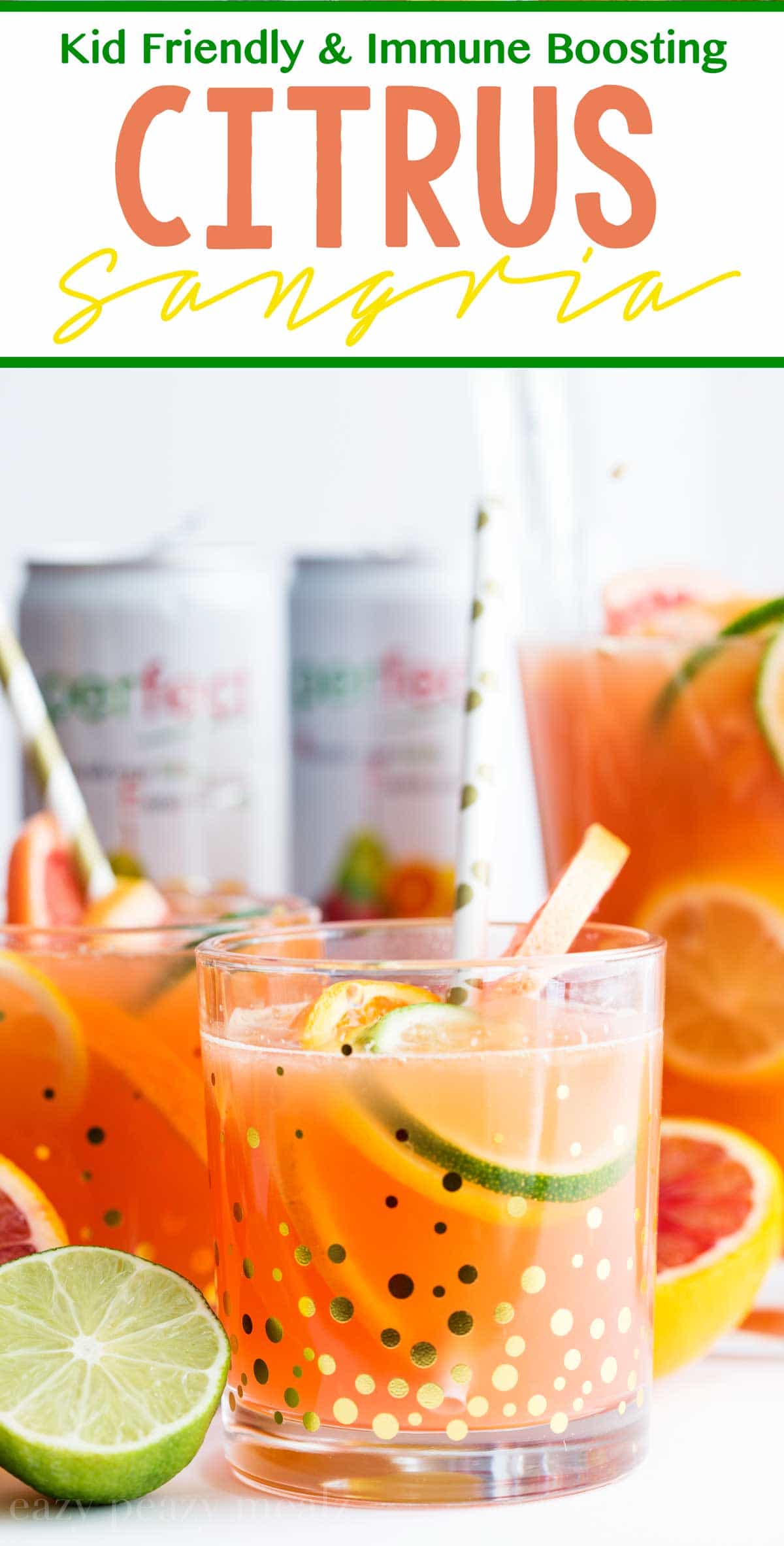 10 Kid Friendly Drink Recipes - Kid Friendly Citrus Sangria.