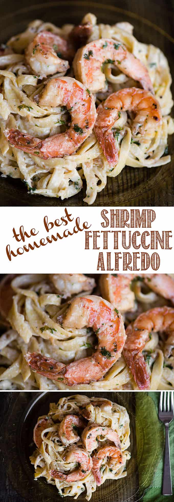 Shrimp Fettuccine Alfredo is a combination of succulent and flavorful shrimp, homemade alfredo sauce, and tender pasta. If you love seafood and decadent, then you'll love this quick and easy recipe. Take it to the next level by making this Shrimp Fettuccine Alfredo with your own homemade pasta! #shrimp #alfredo #fettuccine #fettucinealfredo #pasta #homemade #recipe