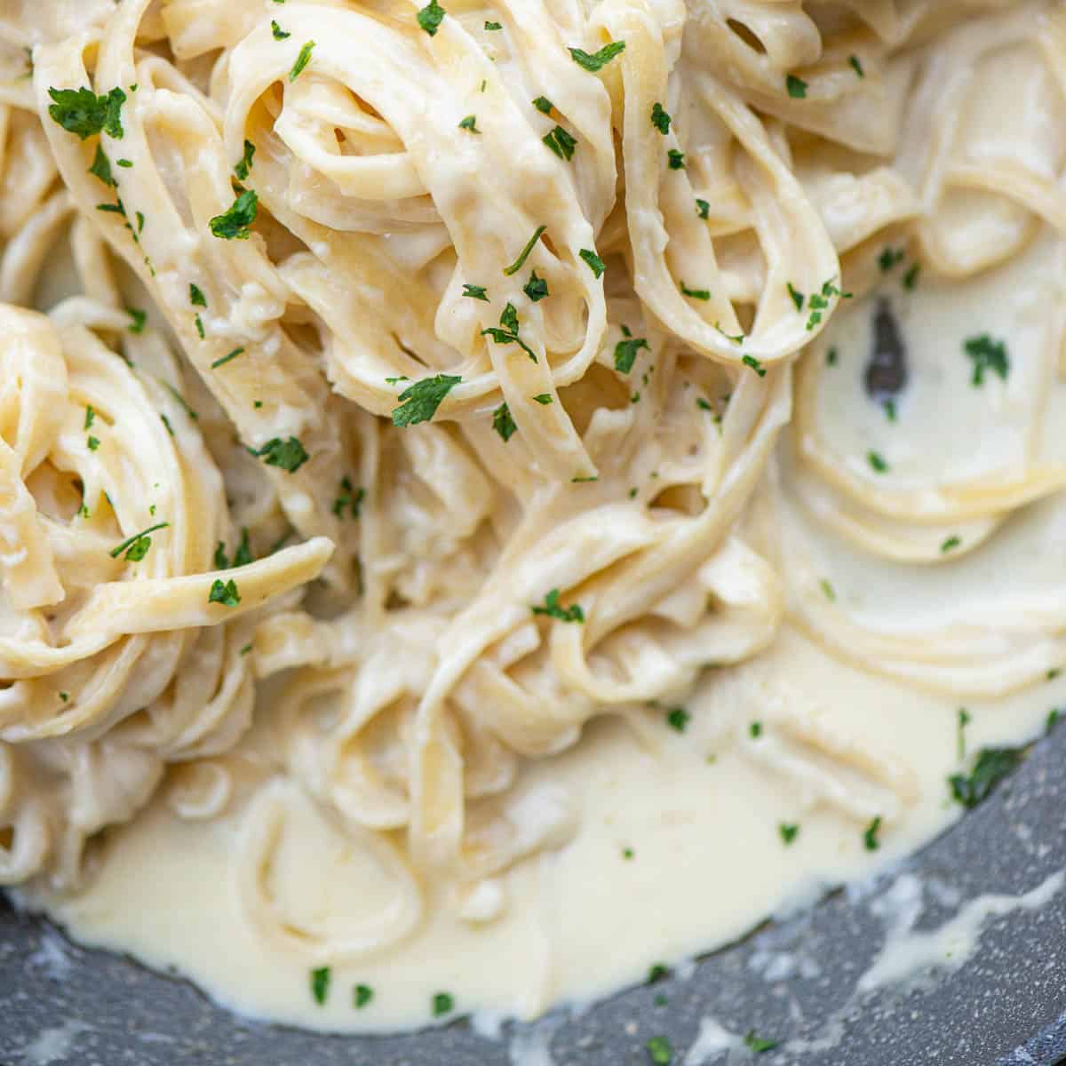 fettuccine pasta smothered in homemade Alfredo cream sauce.