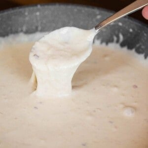 spoonful of creamy alfredo sauce
