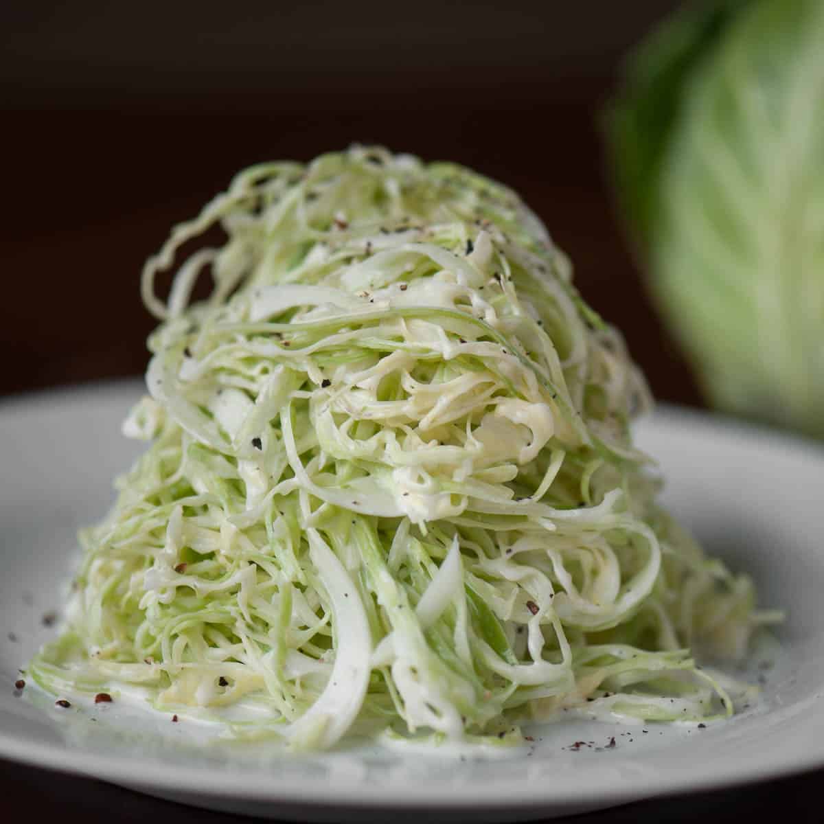 https://selfproclaimedfoodie.com/wp-content/uploads/angel-hair-coleslaw-square-1.jpg