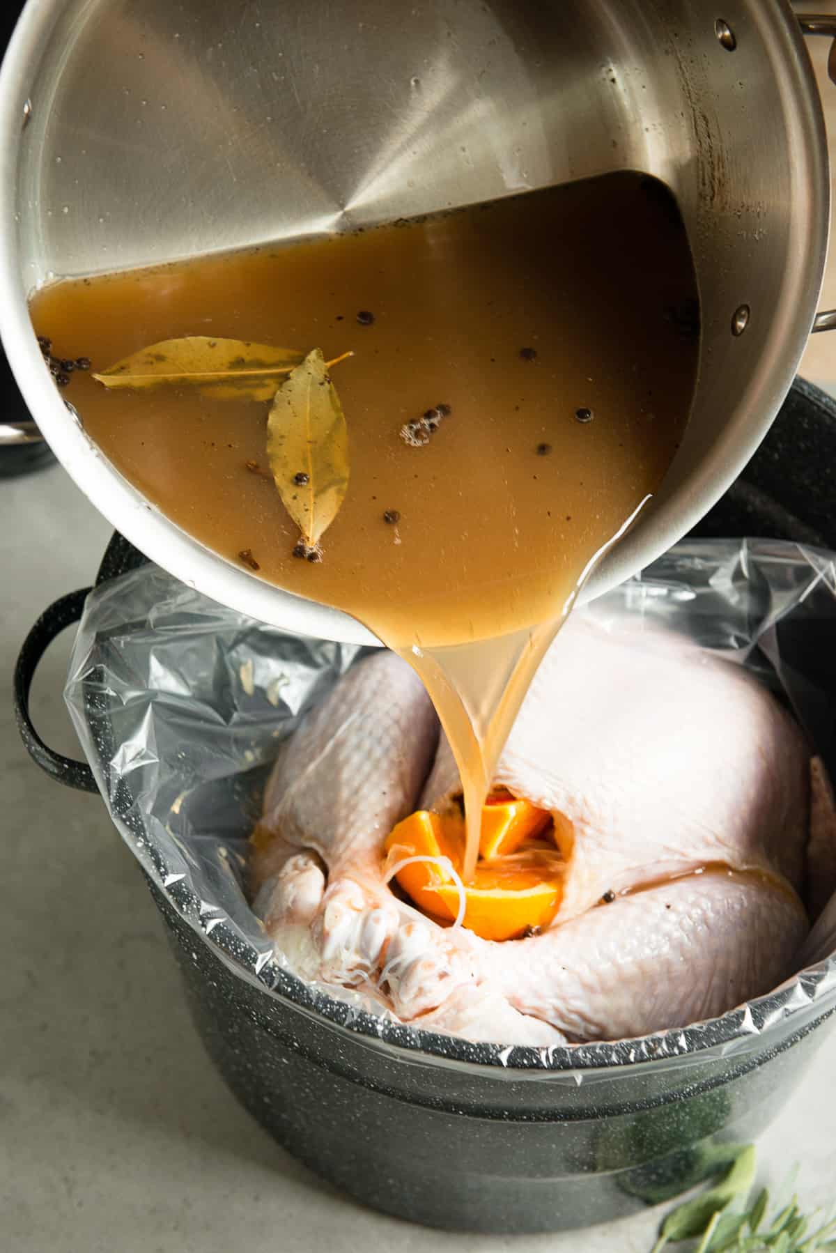 pouring apple cider turkey brine over turkey.