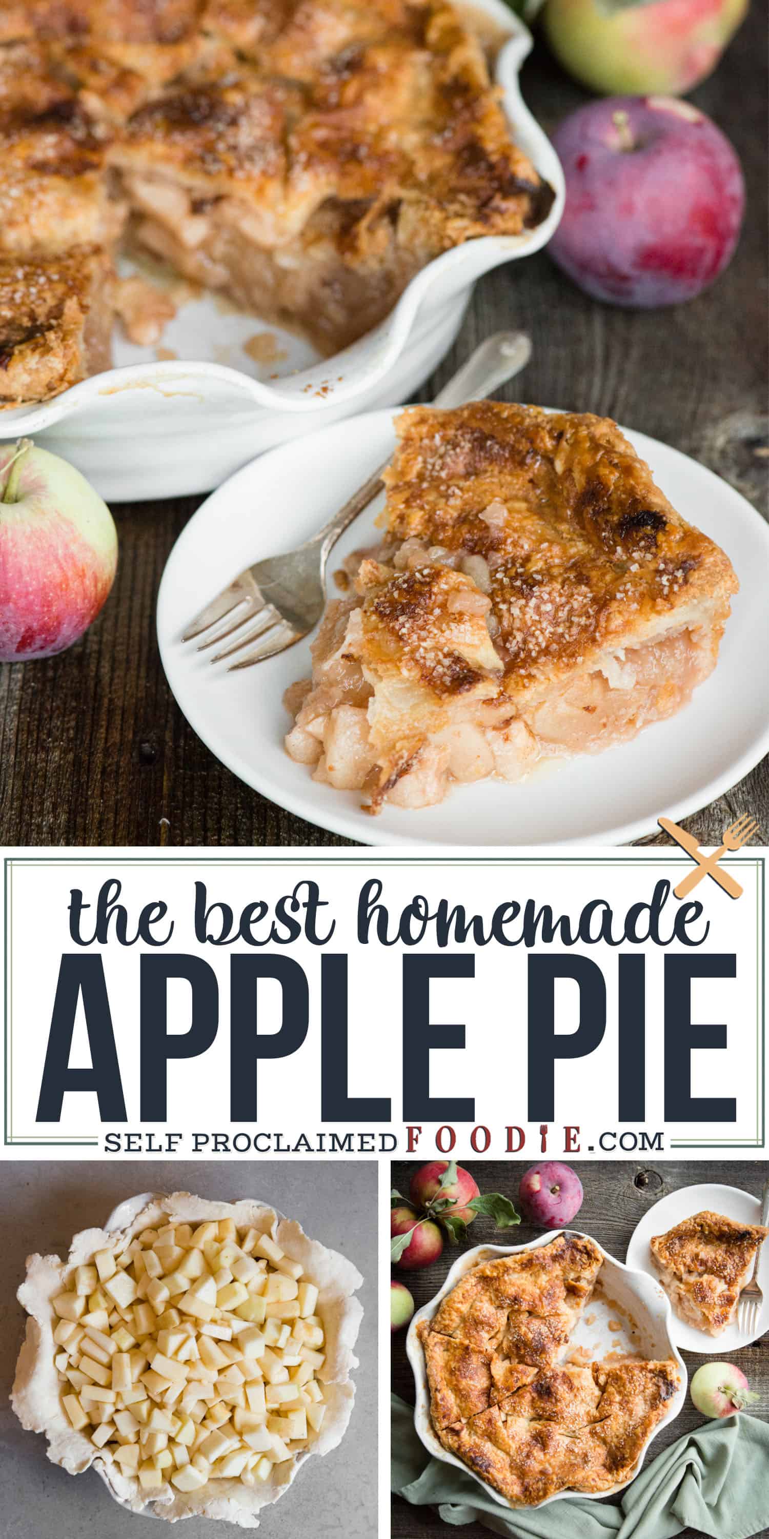 The BEST Classic Homemade Apple Pie Recipe - Self Proclaimed Foodie