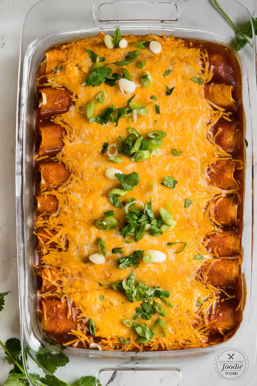 recipe for shredded beef enchiladas with red sauce