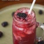 This refreshing and perfectly sweet Blackberry Vanilla Mocktail made from fresh blackberry puree and vanilla paste is a favorite summer drink for all ages.
