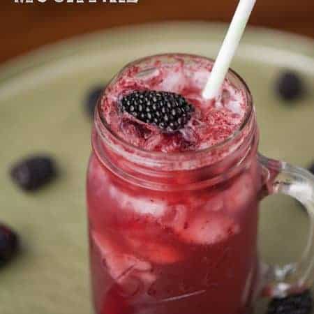 This refreshing and perfectly sweet Blackberry Vanilla Mocktail made from fresh blackberry puree and vanilla paste is a favorite summer drink for all ages.