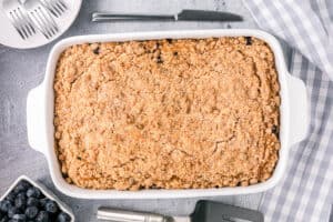 blueberry coffee cake with streusel topping in baking dish.
