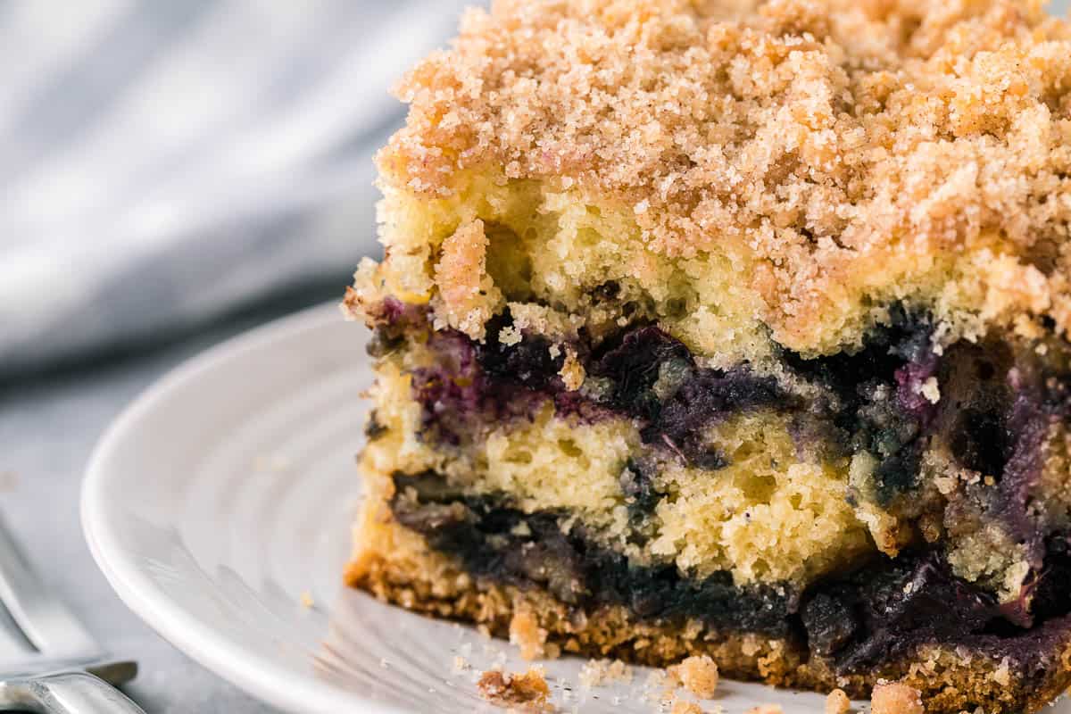 close up of a serving of blueberry coffee cake on plate.